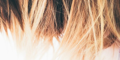 The Color of the Year 2017